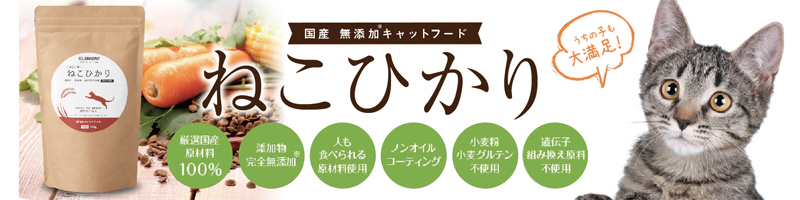 ���Y���Y���L���b�g�t�[�h�u�˂��Ђ���v���T�C�g